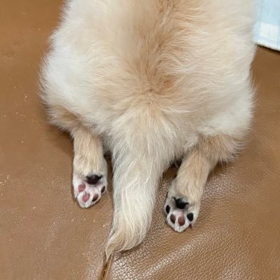 うりゅうMRさんのプロフィール画像