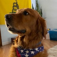 DigitalAssetsUS ๐บ๐ธ๐ซก๐๏ธ (@digitalassetsus) 's Twitter Profile