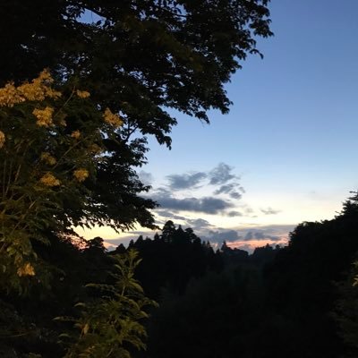 v5GjAQdGAu70305's profile picture. 