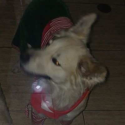 Macarena Moscosoさんのプロフィール画像