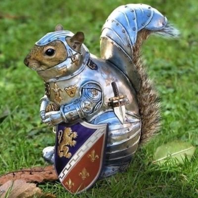 EserKl1169096's profile picture. 