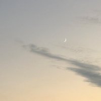 🌙 (@_ho3chan) 's Twitter Profile