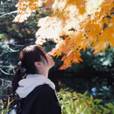 りんさんのプロフィール画像