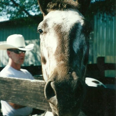 Jim_g8r's profile picture. husband, father, grandfather. average blue collar working man.5th gen Florida native. SAR member. #DeSantis2024