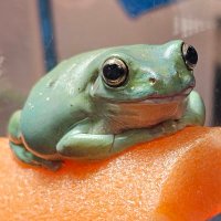 BoringRanger (@boringranger) 's Twitter Profile Photo