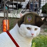 Serbian Cat (@serbiancat777) 's Twitter Profile