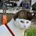 Serbian Cat (@serbiancat777) Twitter profile photo Serbian Cat (@serbiancat777) Twitter profile photo