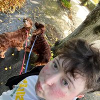 rein (@windandre1n) 's Twitter Profile Photo