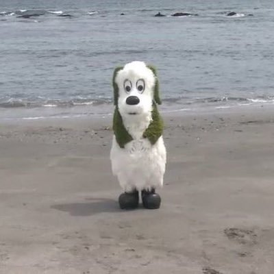 _st13puni's profile picture. 子どもたちに言語訓練をしています🗣️無言フォロー失礼します