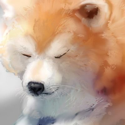 Zolkin4's profile picture. 