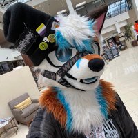 Kasper 🔞 (@kaparius2) 's Twitter Profile