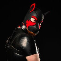 Pup Rogue🐶Gooning 💫 (@rogue_pup) 's Twitter Profile Photo Pup Rogue🐶Gooning 💫 (@rogue_pup) 's Twitter Profile Photo