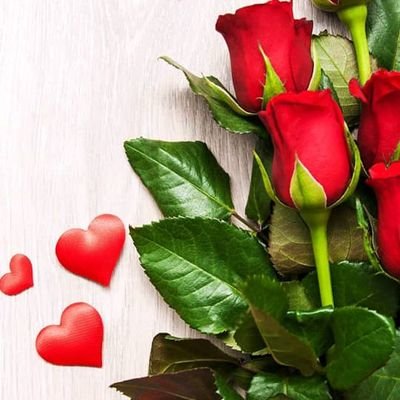 gardshdwran0000's profile picture. 