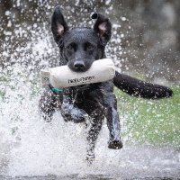 Nigel Kirby Photography (@nigekirby) 's Twitter Profile Photo Nigel Kirby Photography (@nigekirby) 's Twitter Profile Photo