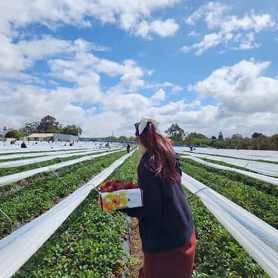 chiori88126's profile picture. 飼ってください