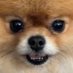 little brother (@little_bother) Twitter profile photo little brother (@little_bother) Twitter profile photo