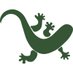 Fauna Ibérica (@faunaibericaorg) Twitter profile photo Fauna Ibérica (@faunaibericaorg) Twitter profile photo