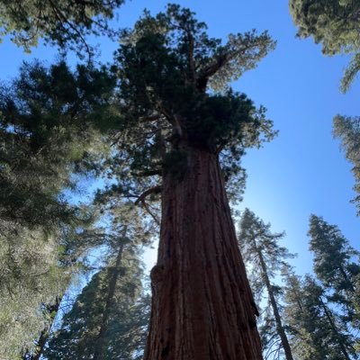 Robert43815477's profile picture. 