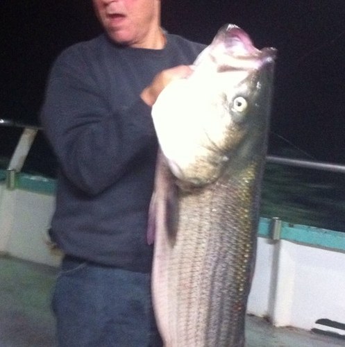 coho7611's profile picture. 