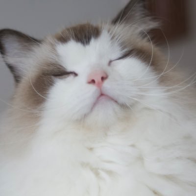 Leebh96's profile picture. 技術和科學 藝術與文化