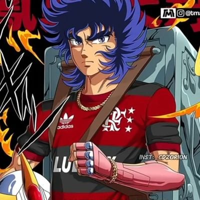 Hiperfoco em Flamengo, Linkin Park, Cavaleiros do Zodíaco, gatos, motos, rock, concursos públicos e mulheres cacheadas ✨