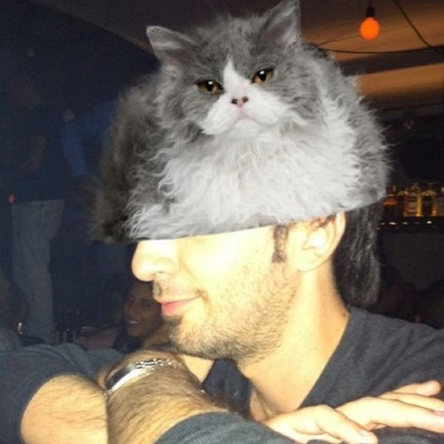 ostapbender00's profile picture. .לפעמים כשאני לבד, אני אוהב להעמיד פנים שיש לי ביד אפרסמון דמיוני ואז לצרוח עליו