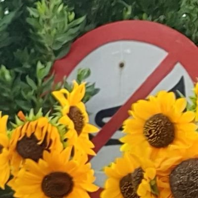 shoorebiinamak's profile picture. یهو دیدی حقیقت خورد توی صورتت
مراقب باش