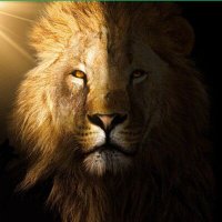 HM🫰 (@fm117d) 's Twitter Profile
