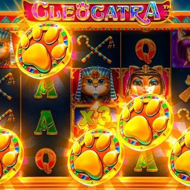 🌐Mais de 50 milhões de jogadores de todo o mundo!
🎁#Bônus de primeiro #depósito 💯%.
🎁250 #freespins para iniciar o #jogo.
#cassino