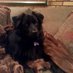 Pamela Graham (@pggrn0220) Twitter profile photo Pamela Graham (@pggrn0220) Twitter profile photo