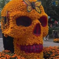 LouCipher (@loucipher69) 's Twitter Profile