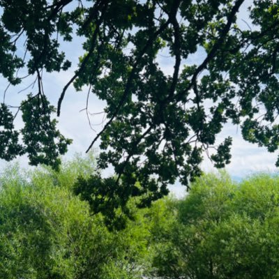 Phukie_M's profile picture. 