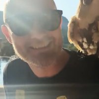 Gg (@glennilson82) 's Twitter Profile