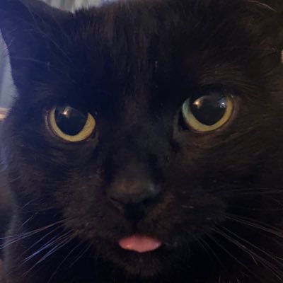 turnbulljohn's profile picture. 