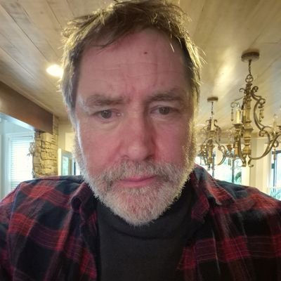 stollewardz's profile picture. 