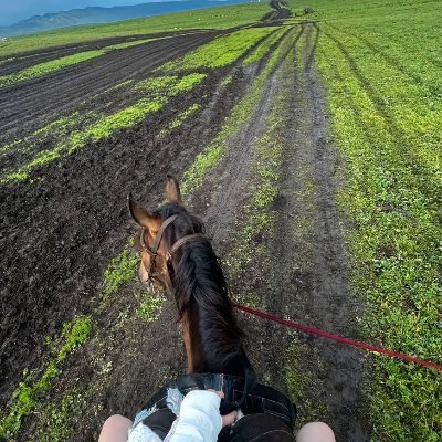 EugeneMari84912's profile picture. 