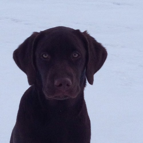 jtsmitty76's profile picture. 