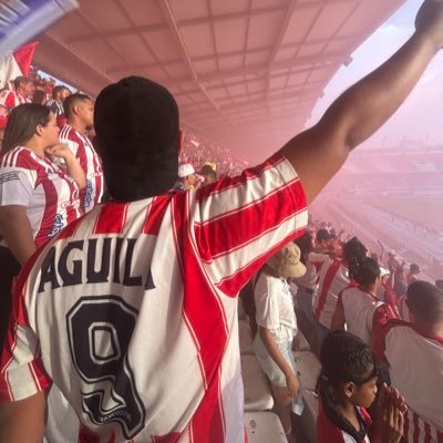 Fútbol/ PotterHead/ 1899/Hincha Tiburon/ Faith-Hope-Love.