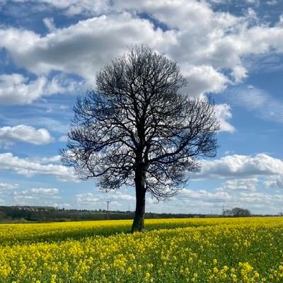 Retired to Countryside. Walking, Military History, Parents ex RAF/WAAF WW2, Foodie, Crewe Alex, Photography, Art, and bookworm. 🇬🇧