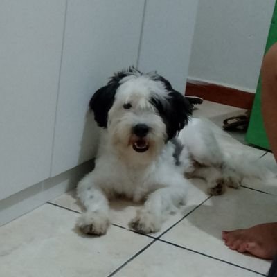 RafaelM5514800's profile picture. 