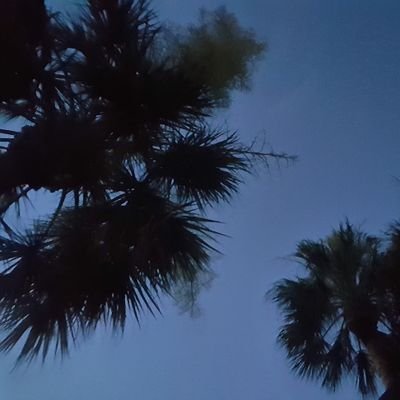 lctweetsGJL's profile picture. 