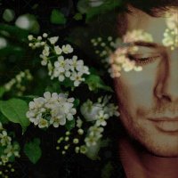 ISAAC HOWLETT (@isaachowlett) 's Twitter Profile