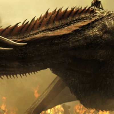 Joey_STARAC's profile picture. Rien n’est perdu, tout est à découvrir