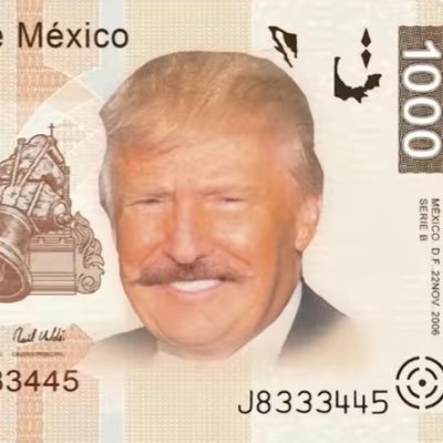 StreamerhubX's profile picture. Not affiliated with Donald Trump (Parody Account) || tweeting anything & everything || turn notis on |DM for submissions|