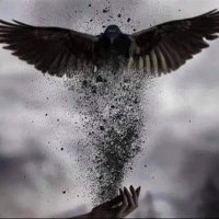 Arielwire (@arielwire1) 's Twitter Profile