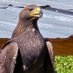 kennith hackett (@kennithh47844) Twitter profile photo kennith hackett (@kennithh47844) Twitter profile photo