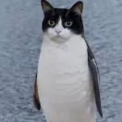 soymilkmotel's profile picture. 