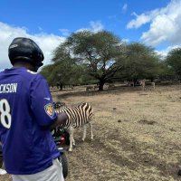 Kopite (@_sirshawn) 's Twitter Profile