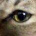 BHBHJ (@jsbzjhzv) Twitter profile photo BHBHJ (@jsbzjhzv) Twitter profile photo