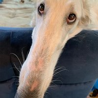 LONG (@thetickerislong) 's Twitter Profile Photo